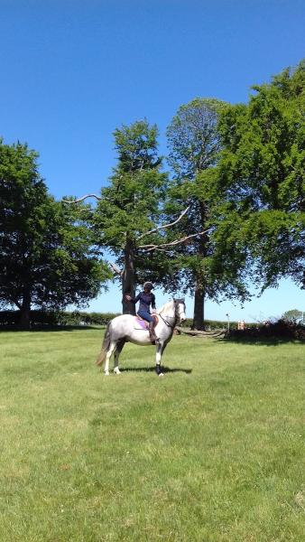 White Rose Riding Club