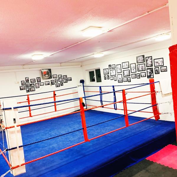 Hockley Boxing Club