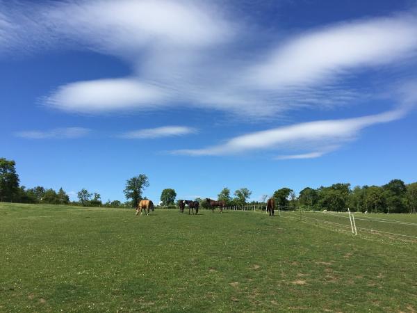 Oxenfoord Equestrian Centre