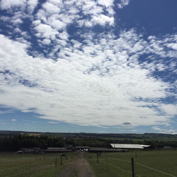 Oxenfoord Equestrian Centre