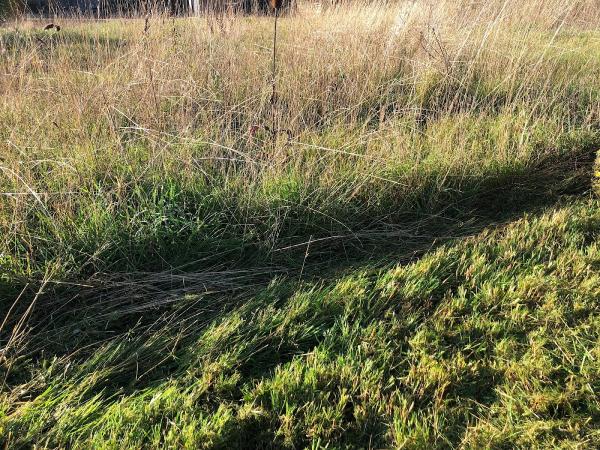 Alex's Driving School