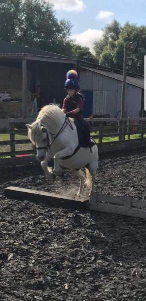 Lands End Equestrian Centre