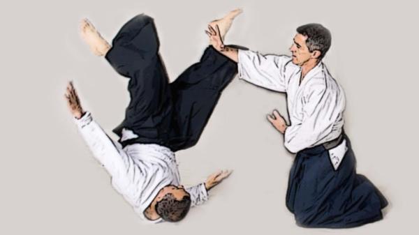 The Welsh Aikido Society