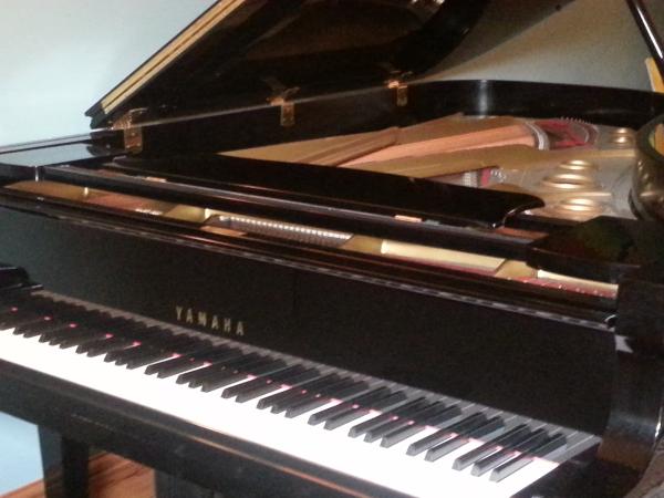 Sandy Holland & Peter Noke