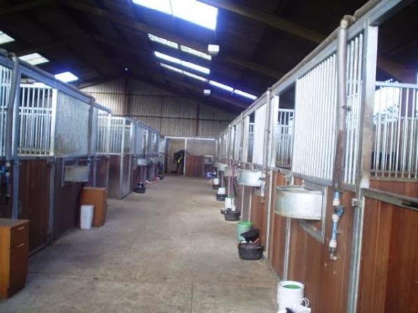 Witcham Equestrian Centre