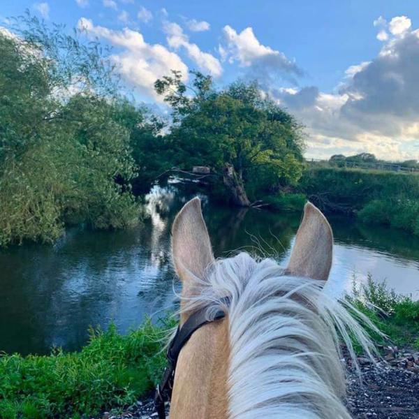 Higher Farm Riding School