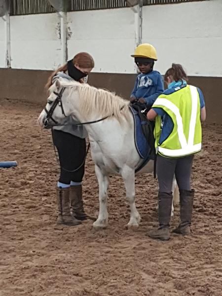 Halymyres Stables