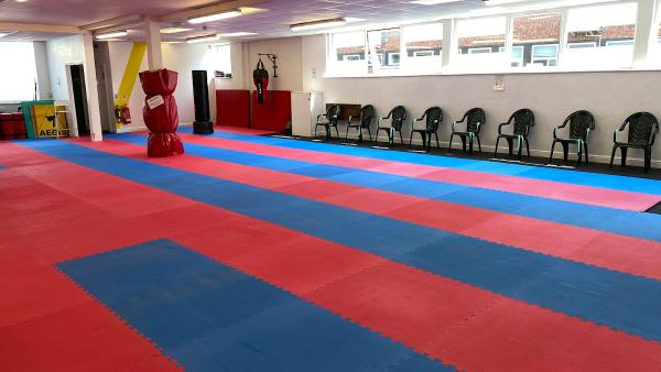 Leeds North Aegis Martial Arts Academy