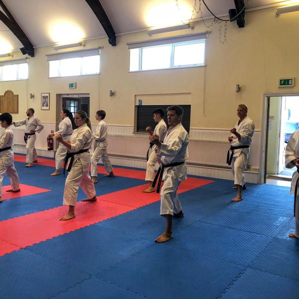 Backwell Karate Club