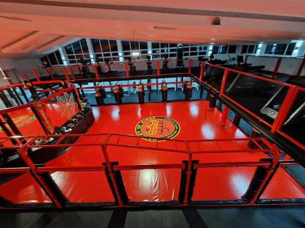 Valley of Kings MMA Fitness Center