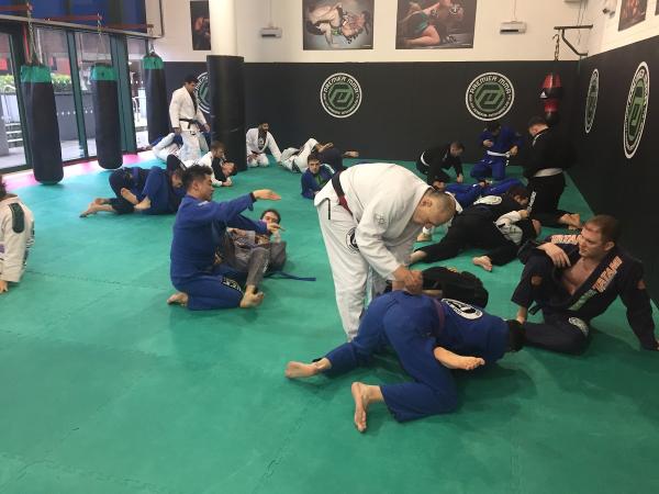 Premier BJJ & Kickboxing