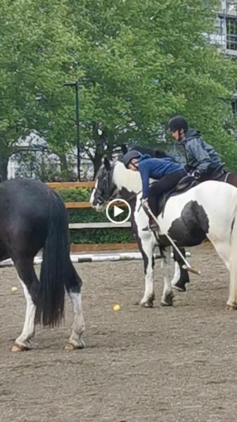 Ebony Horse Club