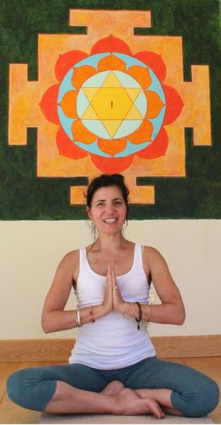 Shala Yoga Haven