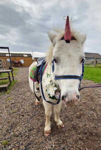 Fenland Equestrian Centre