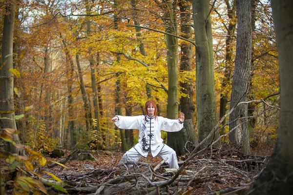 Surrey and Hants Tai Chi Qigong Mytchett