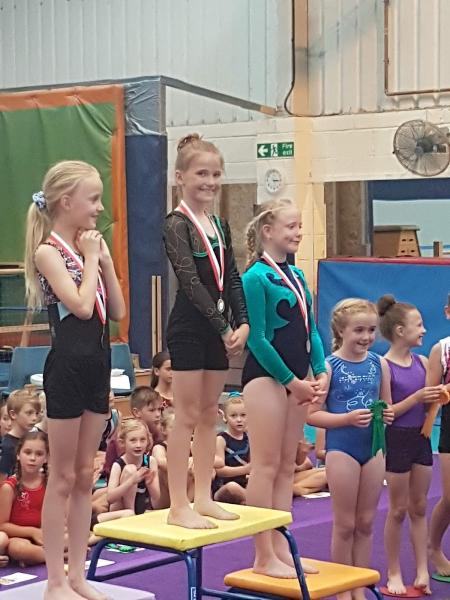 Blandford Forum Gymnastics Club