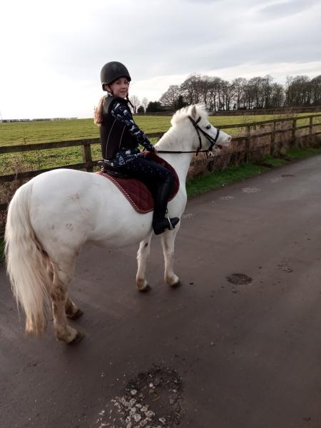 Angel Riding & Pony Club Center