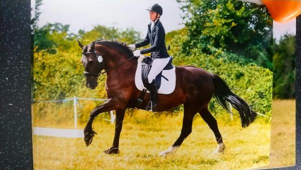 Horsemanship With Rachel