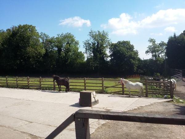 Grenoside Equestrian Centre