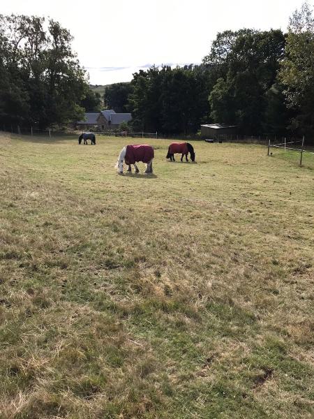 Hunterfield Riding School