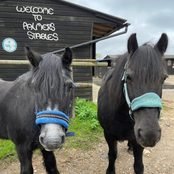 Palmers Riding Stables