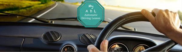 Affordable Automatic Driving Lessons