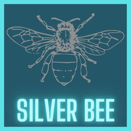 Silver Bee Fitness