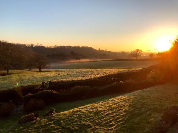 Hill Farm Yoga