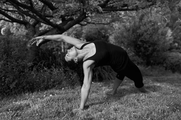 Trinity Tree Yoga