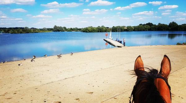 Aldborough Hall Equestrian Centre