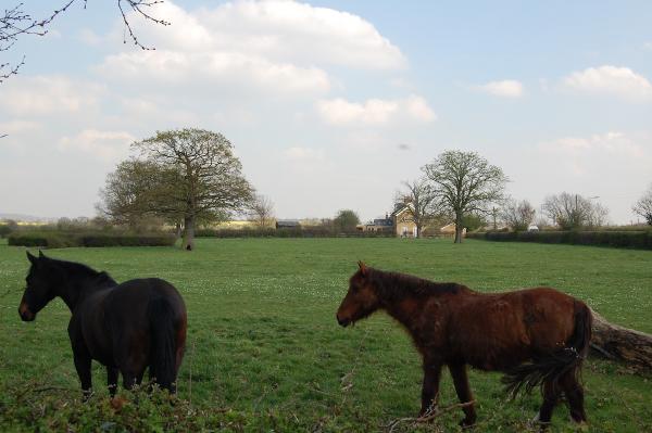 Aldborough Hall Equestrian Centre