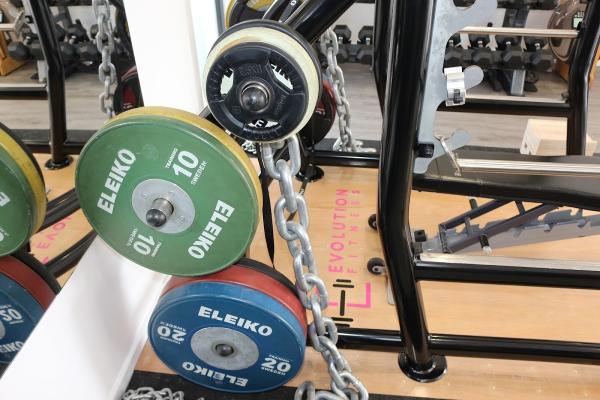 Evolution Fitness