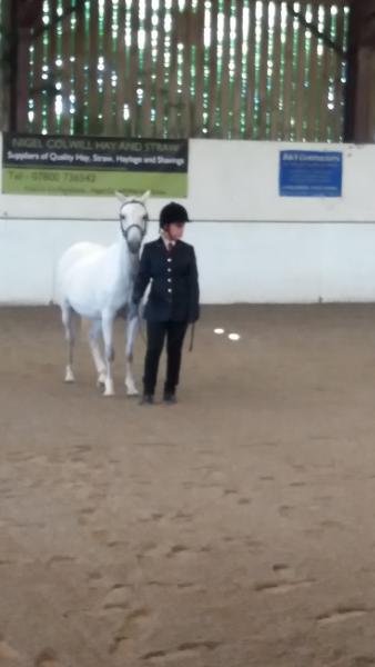 Cholwell Equestrian Centre