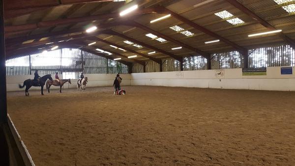 Cholwell Equestrian Centre