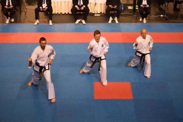 National Educational Schools of Traditional Taekwon-Do (Nest Tkd)