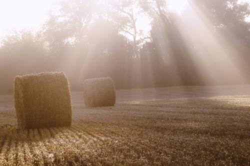 Mindfulness Sussex