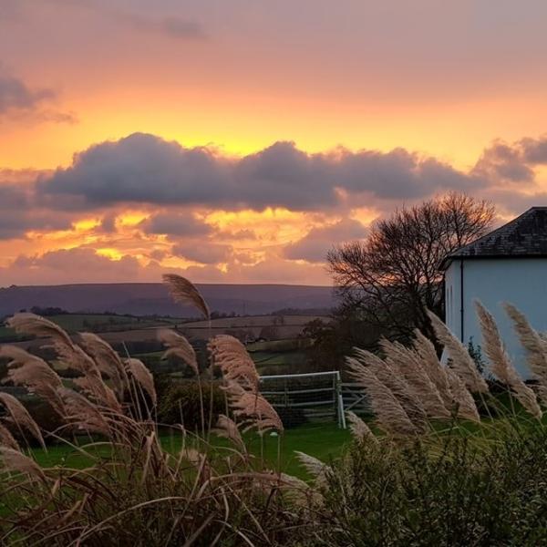 Chapel Cottage Studio