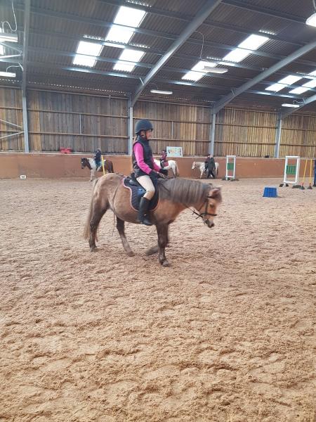 Moor Farm Stables