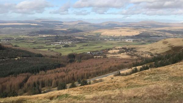 Chevron School of Motoring