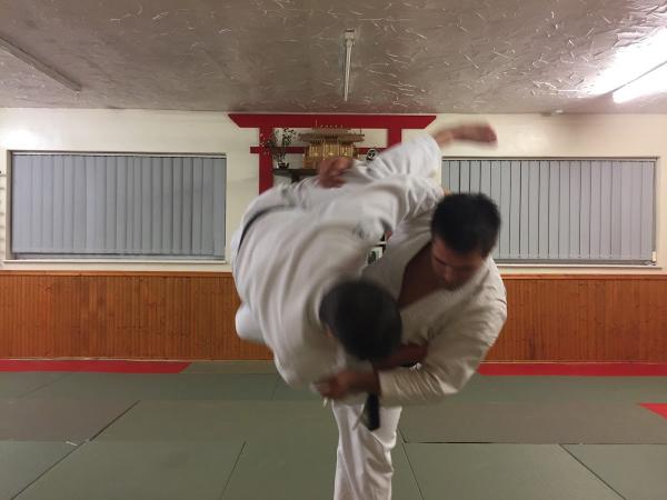 Seimeido Karate Jutsu