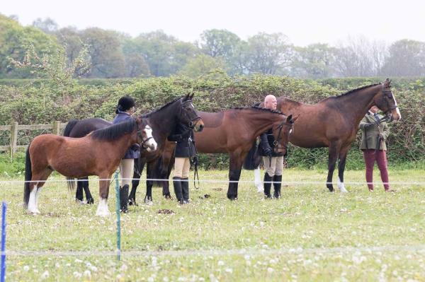 Ebor Vale Riding Club Field