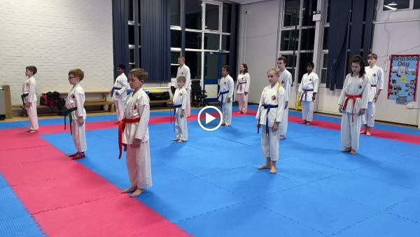 Seitou Ryu Karate Wickford