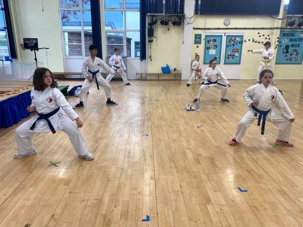 Seitou Ryu Karate Wickford