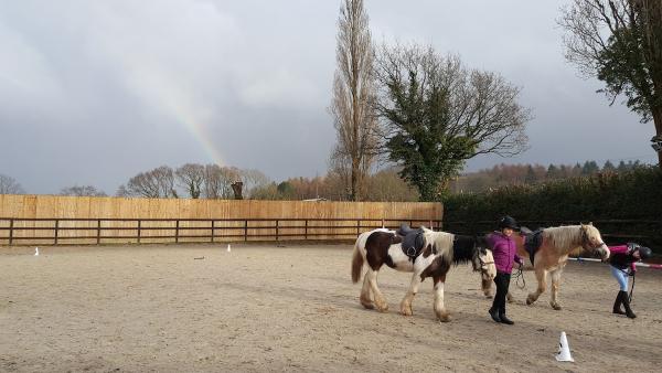 Mayfair Farm Riding Stables