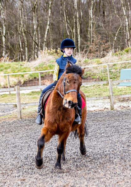Matlock Farm Park Riding School