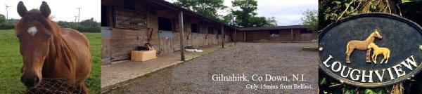 Loughview Stud Farm and Livery Yard