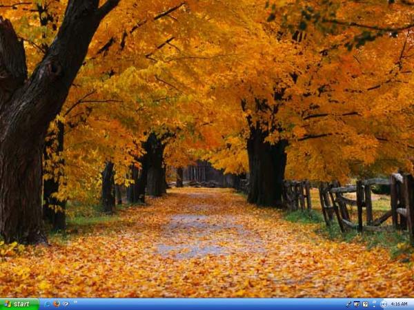 Autumn Years Fitness