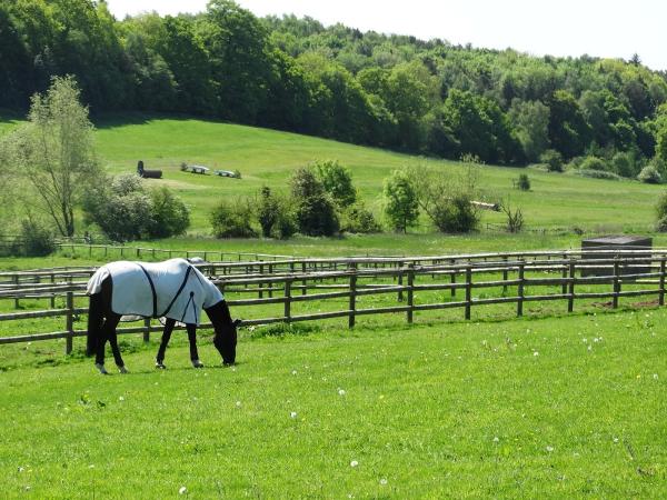 Eland Lodge Equestrian Ltd