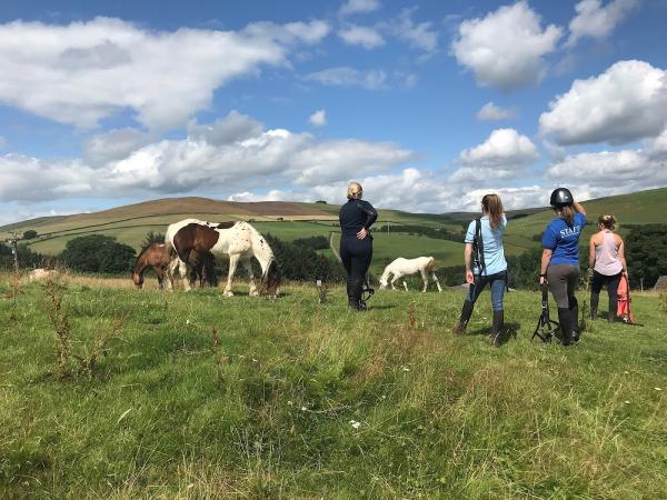 Freerein Riding Holidays