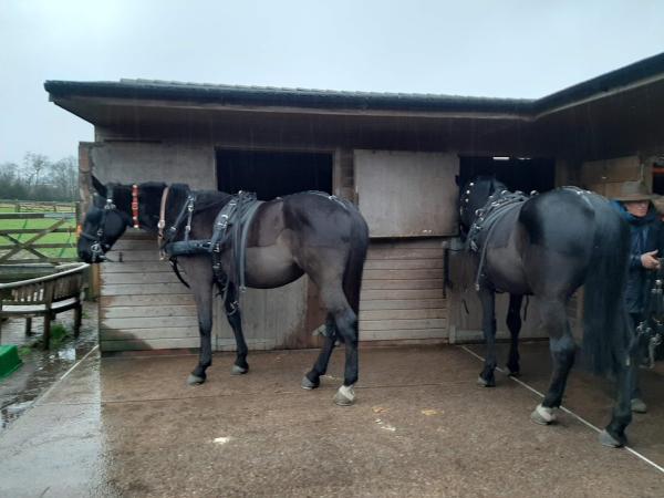 The Horse Drawn Carriage Company